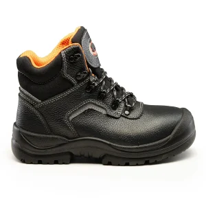 TRZEWIKI BEARFIELD R02 S3 SRC